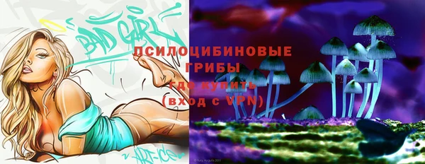 соль ск Медвежьегорск