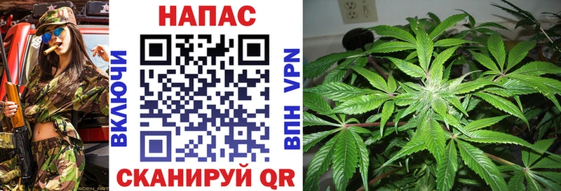 наркошоп  Подпорожье  нарко площадка формула  Шишки марихуана OG Kush 
